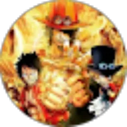 Review From Vidi Wang