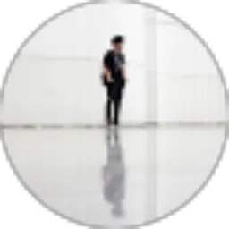 Review From Randi Antami ZP