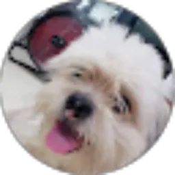 Review From Marcello Justin Sucipto