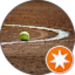 Review From Rudy papanya ARDI