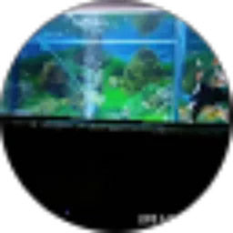 Review From ARDJA SAKTI WINANGUN