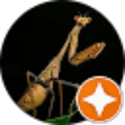 Review From Prayingmanties