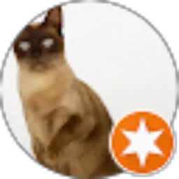 Review From Wahyudi Saputra