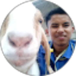 Review From Miftahus Shurur