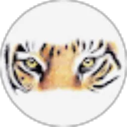 Review From Yoan Miko