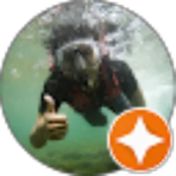 Review From Renaldi Febriana