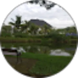 Review From Feri Hamdani