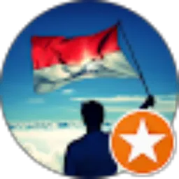 Review From Wirman nnn