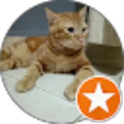 Review From Siti Nuraini