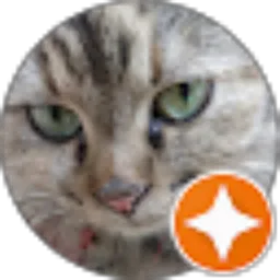 Review From Satya bangun Widya purnama