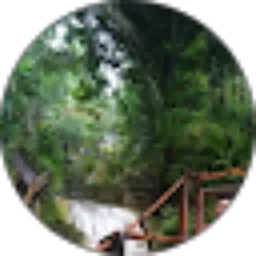 Review From zaid rahmansyah