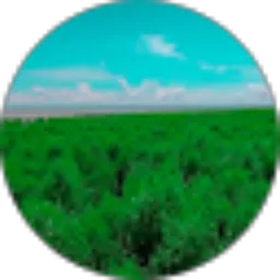 Review From muhammad muzhan