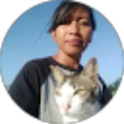 Review From Lasmi Arini