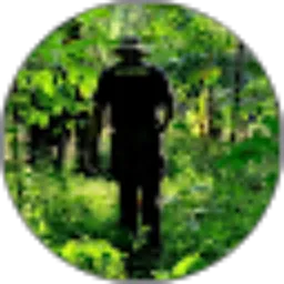 Review From sopyan hariwijaya