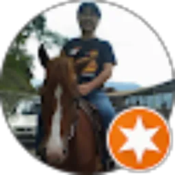 Review From Leonardo L Tobing