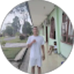 Review From Albinus Linsen