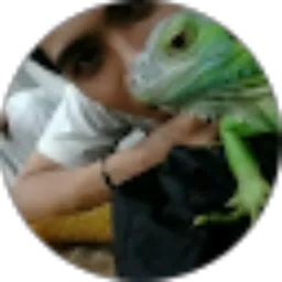 Review From Ayman Mogot