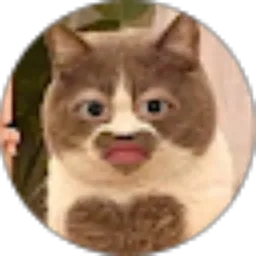 Review From silvia salsabil