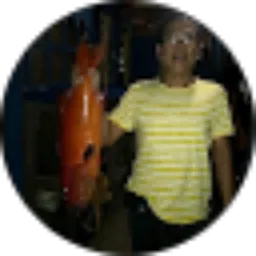 Review From Falco Flc