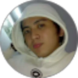 Review From Allen Michtsen Golioth