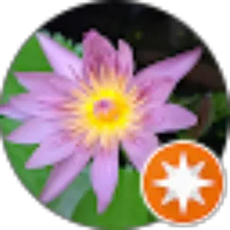 Review From Tri Armalia