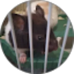 Review From Serlinda