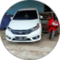 Review From Indranala Irawan