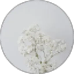 Review From Kyies Jenner