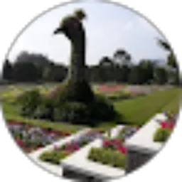 Review From Evy Wijaya