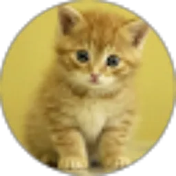 Review From Hyu Gowinda