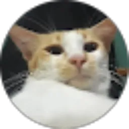 Review From Baguss CTR