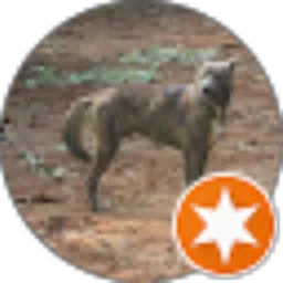 Review From Paimo Moldet