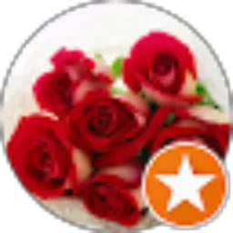 Review From Jessica Rachel