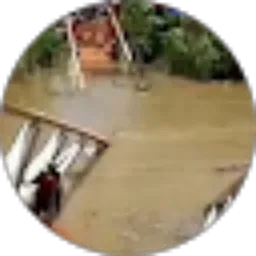 Review From Rahmad Bri