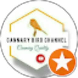 Review From Cannary Bird channel