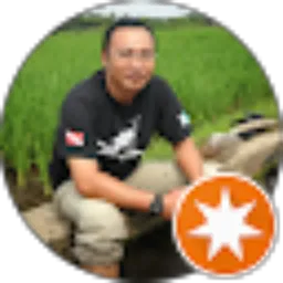 Review From Donny Dhonanto