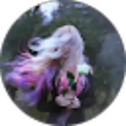 Review From Ferarin 74