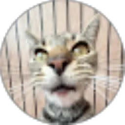 Review From Lebaran Pukis2024