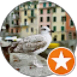 Review From Rinto Mesah