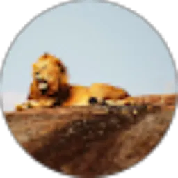 Review From Imran Hayadi