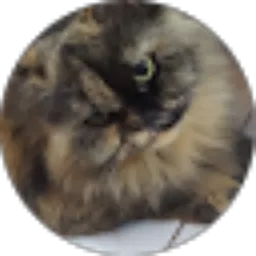 Review From uniie 789