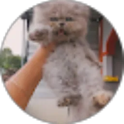 Review From Andra Barra