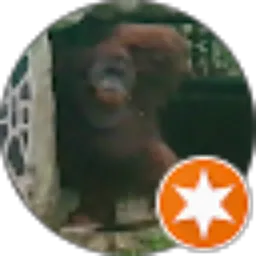 Review From M Ryan Zhang