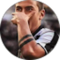 Review From agoes soemardi