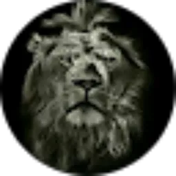 Review From Rizki Mauliady