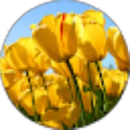 Review From AMY MARHAMY