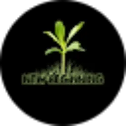 Review From Okky Tri Wahyudi