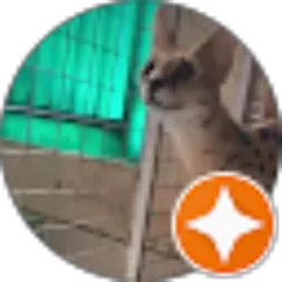 Review From Dani Karabisi