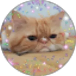 Review From Retno Wardha