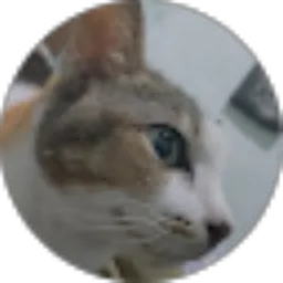 Review From Rise Sanda